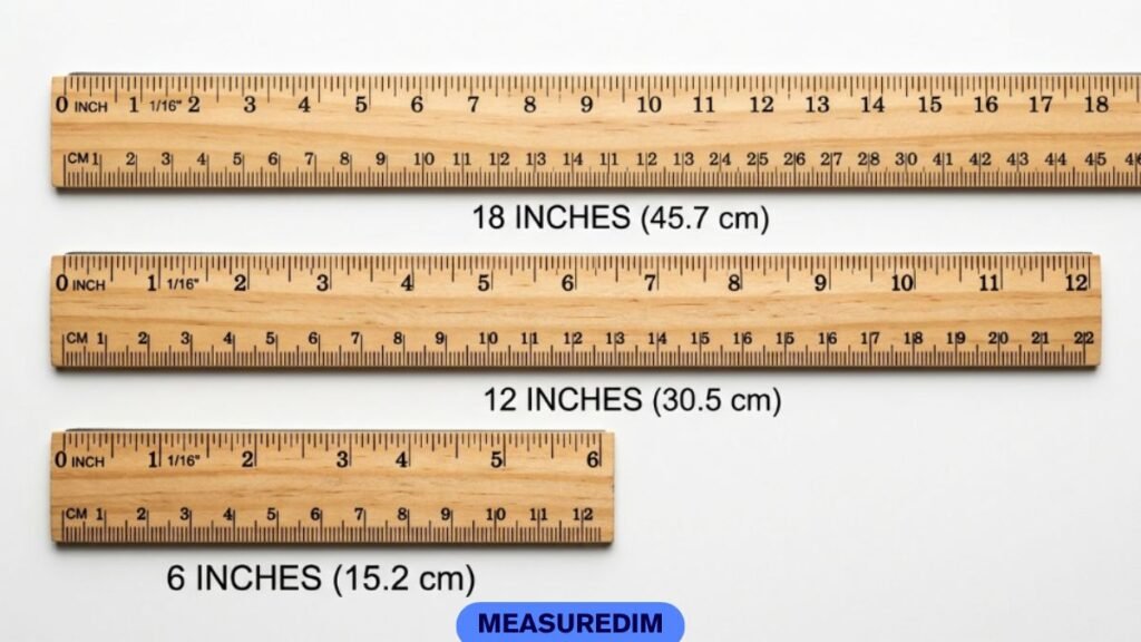 12 Inches Versus the Sizes Beside It